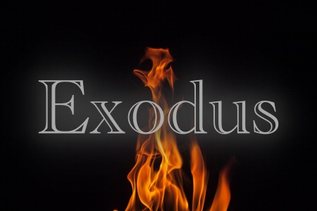 Exodus 19-20:21 – The Ten Commandments (Covenant Preamble)